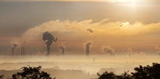 Long-term exposure to air pollution can impair cognitive function