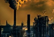 Evidence: soot from polluted air is reaching the placenta Evidence soot from polluted air is reaching the placenta