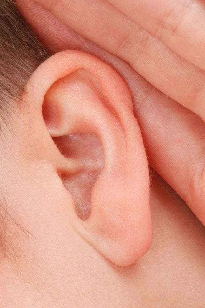 New inner ear neurons discovered: the potential for new hearing therapies