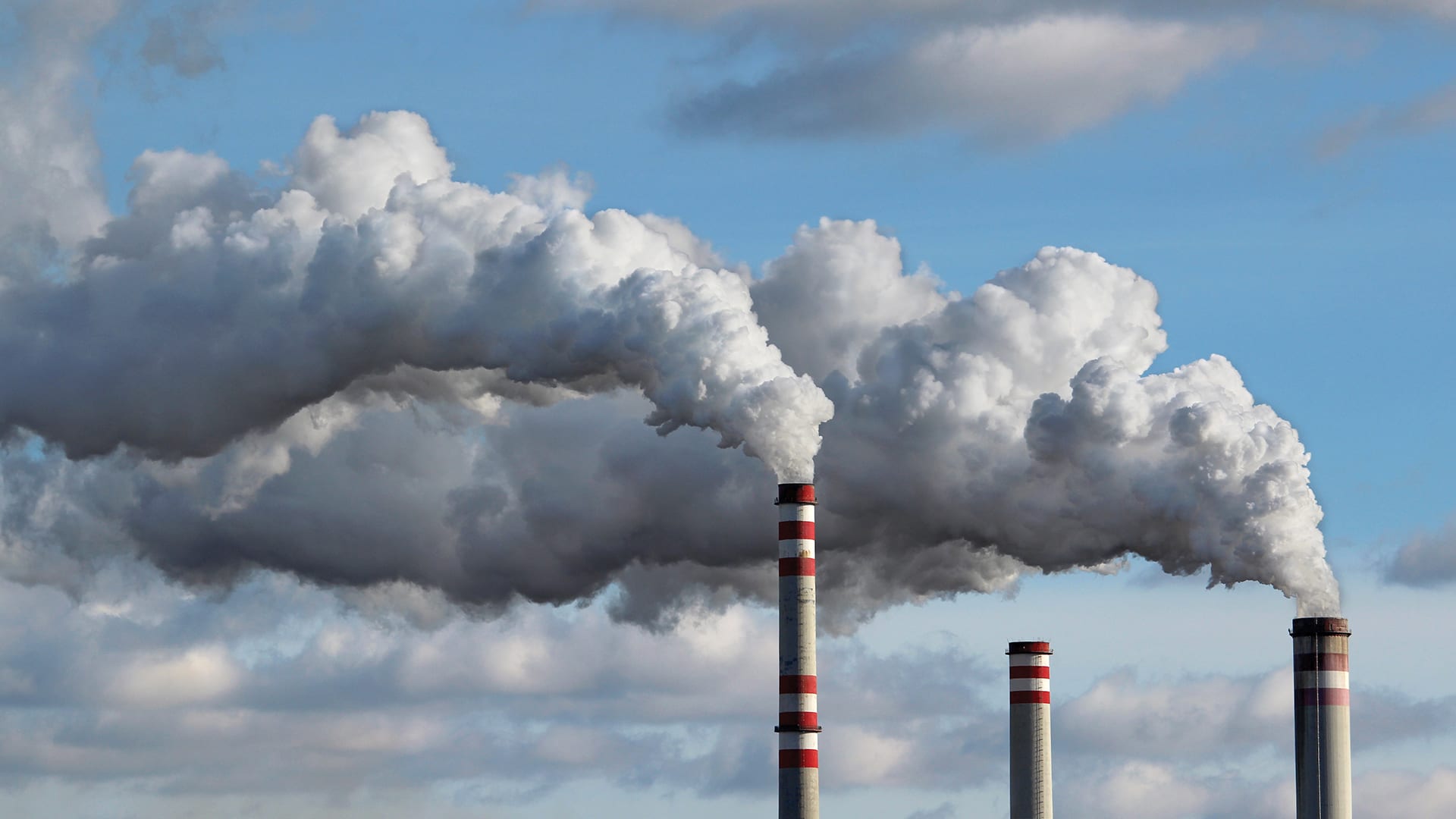 Air pollution and abnormal foetal development