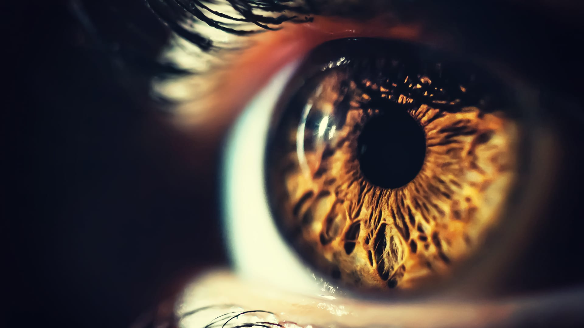 Errors in 'proofreading' cause inherited blindness