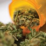 It’s time for the UK to rethink its approach to medical cannabis
