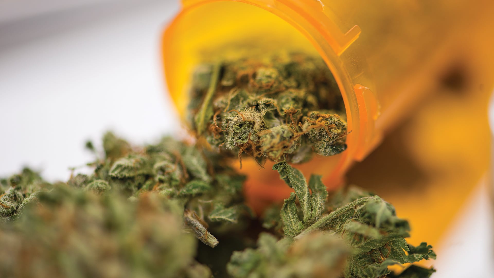 It’s time for the UK to rethink its approach to medical cannabis