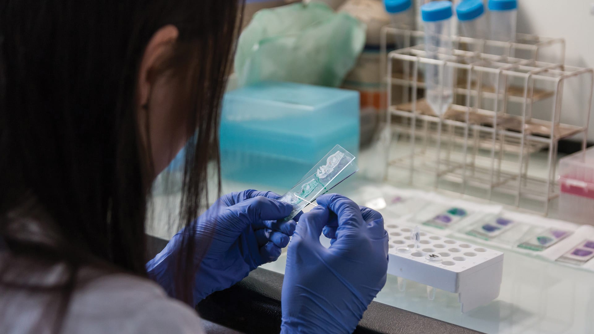 Sustainability in biobanking: a perspective from ISBER