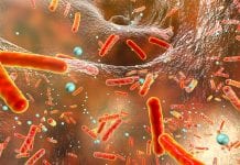 Michael Lisanti and his focus on doxycycline antibiotics Michael Lisanti and his focus on doxycycline antibiotics