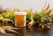 Prescription cannabis in UK: has the law and the drug become best buds?