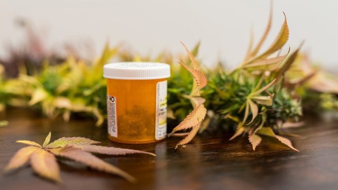 Prescription cannabis in UK: has the law and the drug become best buds?