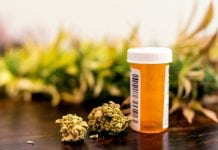 The changing face of medical cannabis in Denmark The changing face of medical cannabis in Denmark