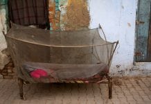 Are malaria parasites adapting to mosquito feeding times? Are malaria parasites adapting to mosquito feeding times?