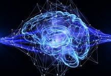 Tanycytes: the cells that control body weight and energy balance