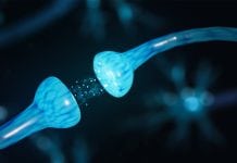 Preventing neurons from dying: neuron survival deciphered Preventing neurons from dying: neuron survival deciphered