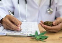 The legal medical cannabis movement The legal medical cannabis movement