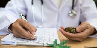 The legal medical cannabis movement