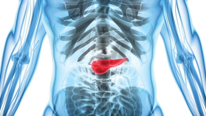 Could inflammation be the key to pancreatic cancer prevention?