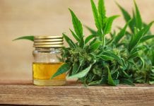 Can the symptoms of Chron's disease be improved by cannabis oil?