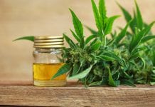 Can the symptoms of Crohn’s disease be improved by cannabis oil? Can the symptoms of Chron's disease be improved by cannabis oil?