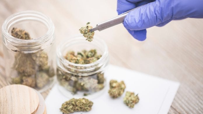 Medical cannabis to be licensed in Greece