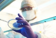 Novel antibacterial compounds created to battle antibiotic resistance development Novel antibacterial compounds created to battle antibiotic resistance development