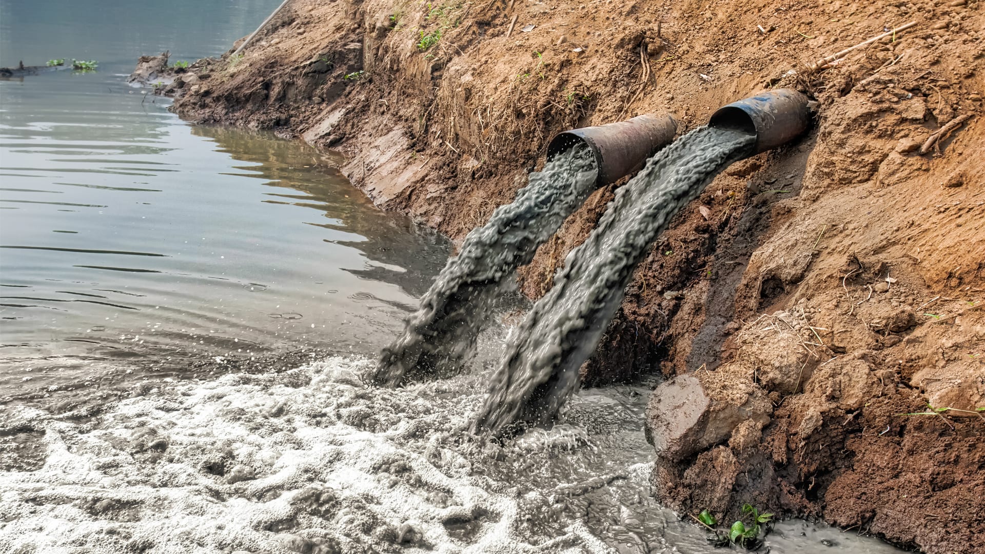 Removing toxic mercury from contaminated water supply