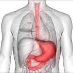 Towards a better understanding of gastric cancer treatment and prevention
