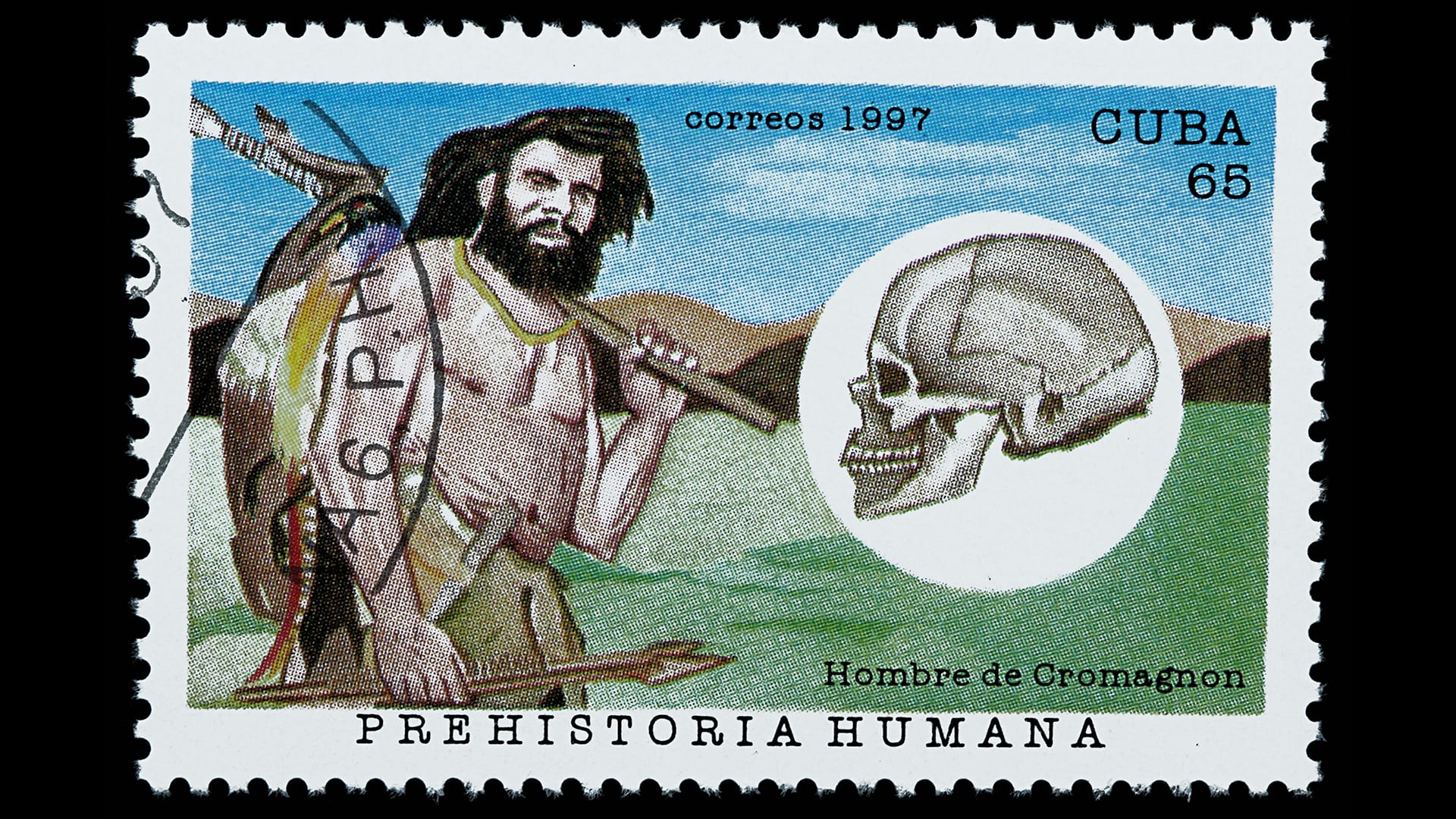 Examining the vascular system of the hominin, Little Foot