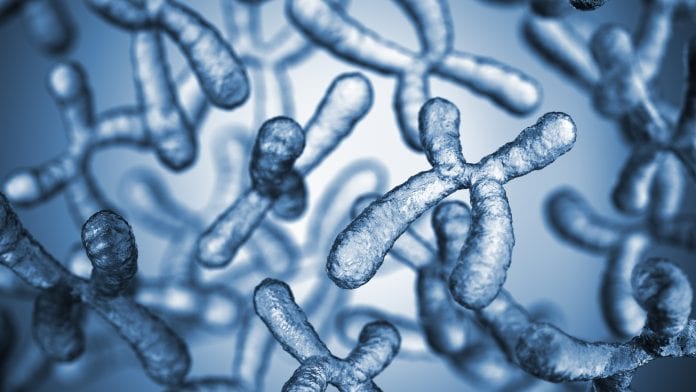 Discover the progressive evolution of sex chromosomes