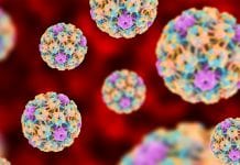 Human papilloma virus predicts risks of cervical cancer
