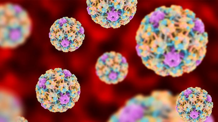 Human papilloma virus predicts risks of cervical cancer