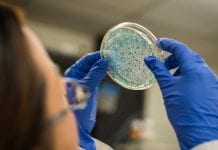 The world of microbiomes is about to get much better The world of microbiomes is about to get much better