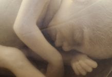 Natural selection in womb: can this explain adulthood health problems? Natural selection in womb: can this explain adulthood health problems?