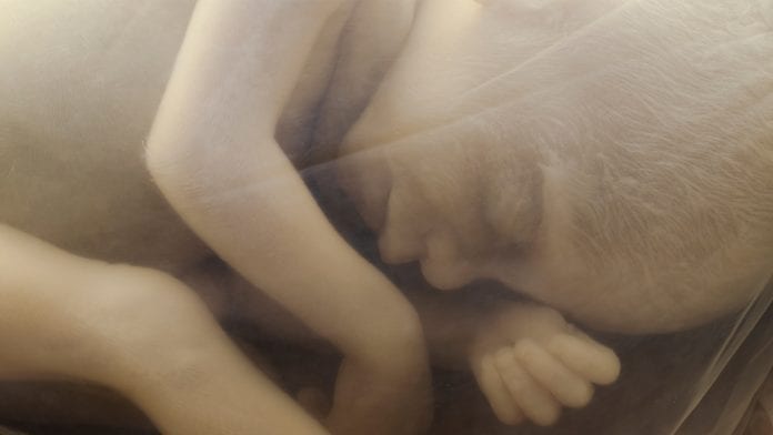 Natural selection in womb: can this explain adulthood health problems?