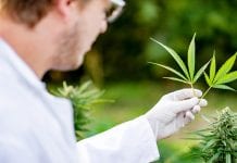 Will Europe be the world’s largest medical cannabis market? Will Europe be the world’s largest medical cannabis market?