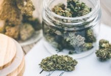 European Union history in the making with legalising medical cannabis