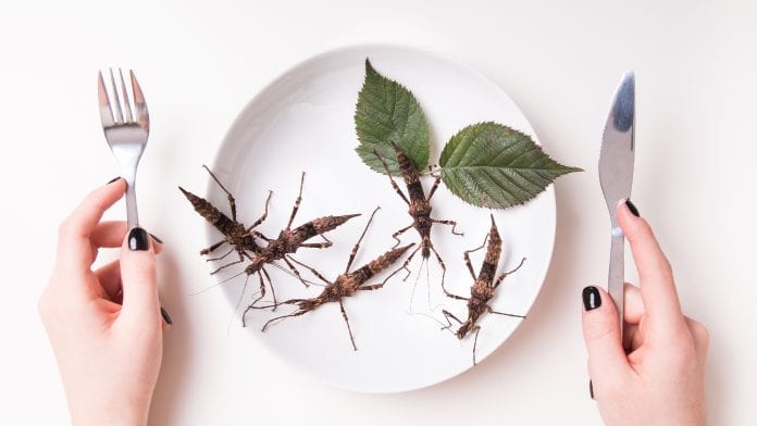 Eating insects to save the environment