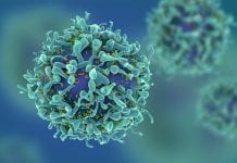 Uterine sarcoma – tackling the rare aggressive cancer Uterine sarcoma – tackling the rare aggressive cancer