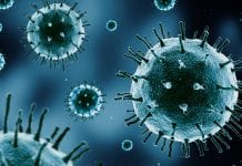 Clostridium difficile infection may be increased by painkillers Clostridium difficile infection may be increased by painkillers