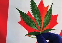 Safeguarding patient access to medical cannabis in Canada