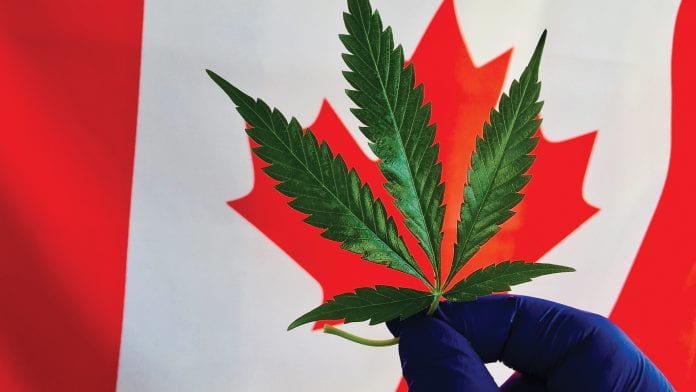 Safeguarding patient access to medical cannabis in Canada