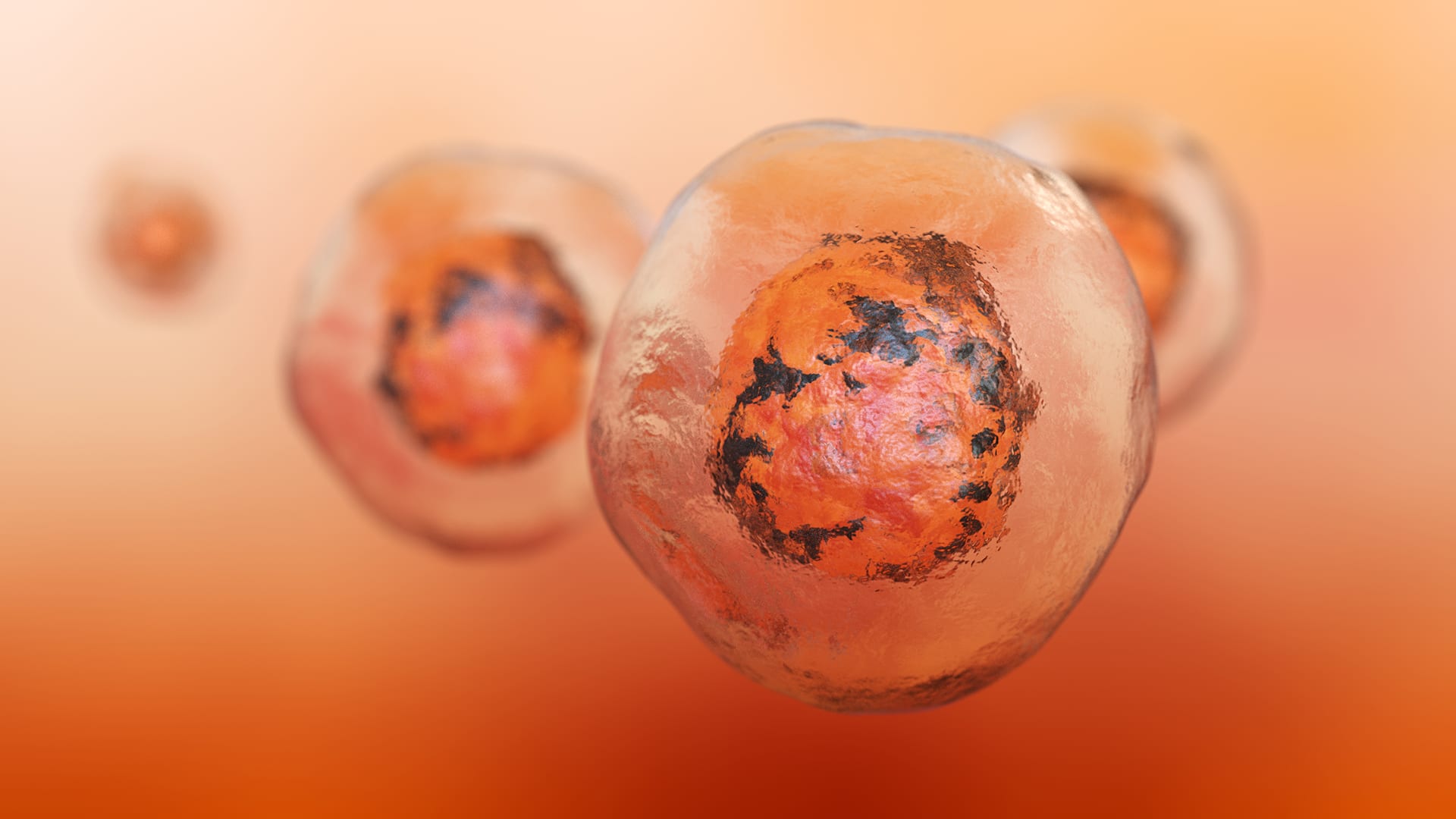 Adenosine deaminases function may be the molecular radar we need