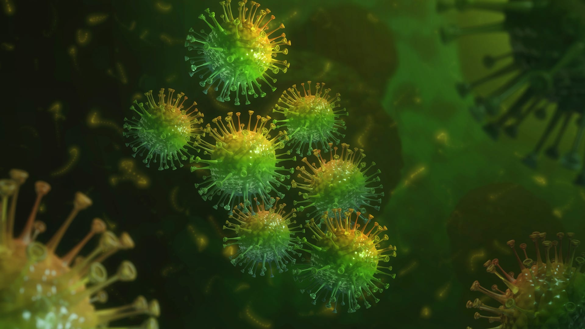 Where will the next form of flavivirus infection come from?