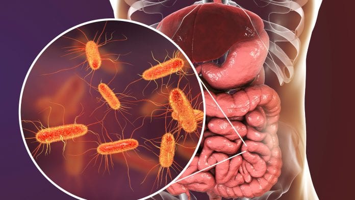 Could human gut bacterium reveal possible connection to depression