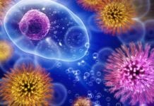 Let’s delve into the world of rare diseases and the healthcare ecosystem Let’s delve into the world of rare diseases and the healthcare ecosystem