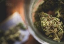 Discover how Mackrell Turner Garrett is supporting cannabis law Discover how Mackrell Turner Garrett is supporting cannabis law