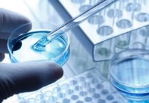 The custom-built molecule designed to battle a rare genetic disease The custom-built molecule designed to battle a rare genetic disease