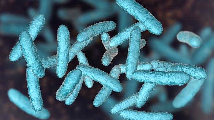 Gut microbiota: 2,000 unknown bacteria discovered in the human gut