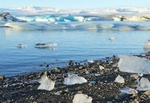 Worrying multidrug resistance in remote Arctic soil microbes