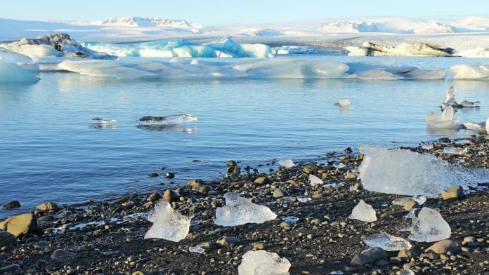 Worrying multidrug resistance in remote Arctic soil microbes