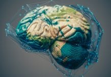 Brain regions unlocked for those with Alzheimer’s disease Brain regions unlocked for those with Alzheimer’s disease