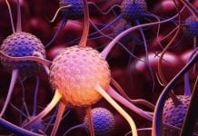 Hyperactive brain cells could be to blame for antidepressants not working Hyperactive brain cells could be to blame for antidepressants not working