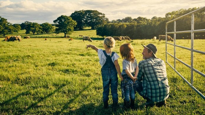 Green space during childhood may improve adult mental health